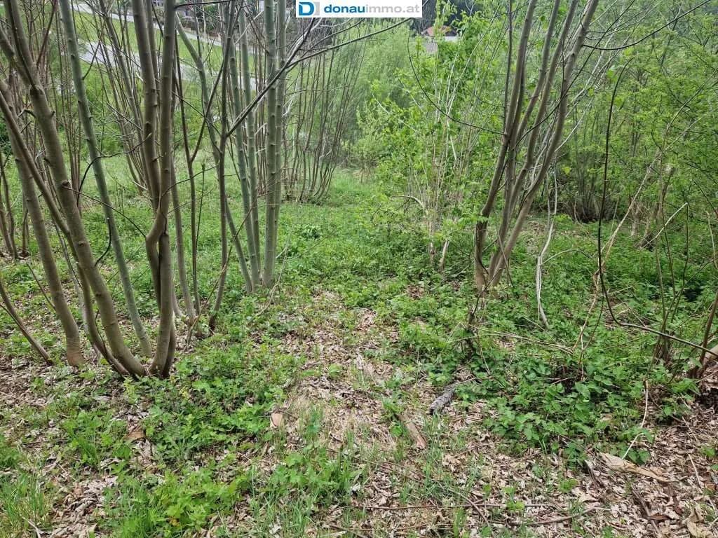Grundstück kaufen in Bruck-Mürzzuschlag – 2 815 m², € 140.750 – Bild 15 von 19