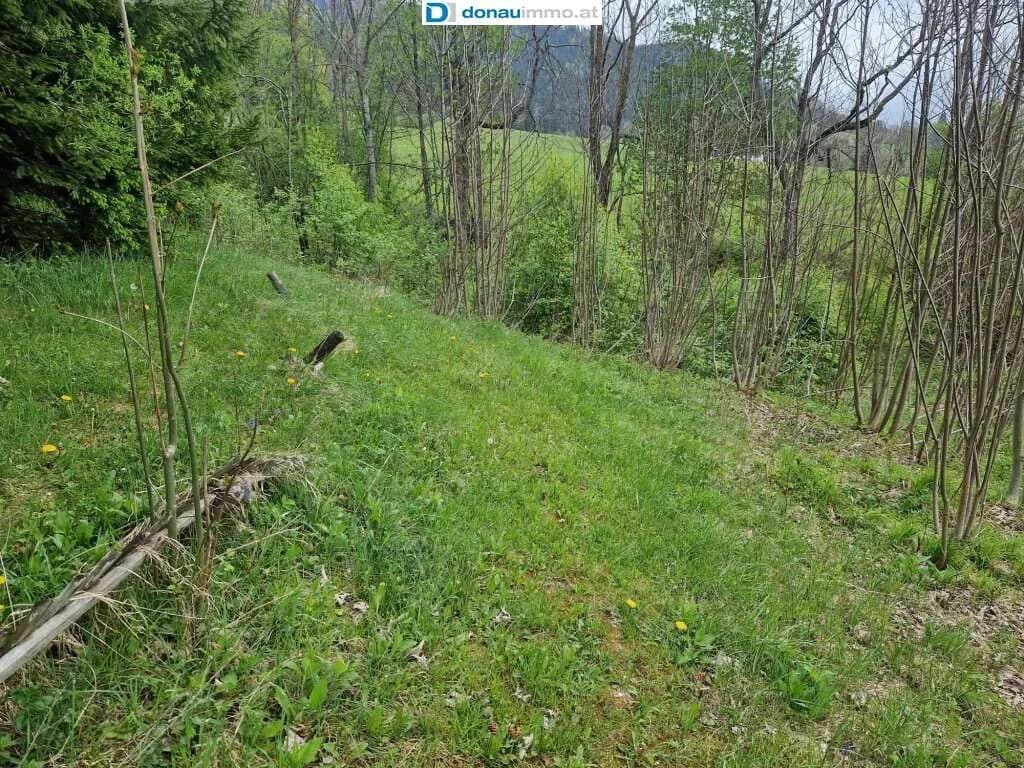 Grundstück kaufen in Bruck-Mürzzuschlag – 2 815 m², € 140.750 – Bild 16 von 19