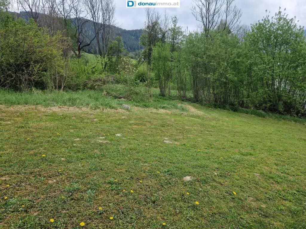 Grundstück kaufen in Bruck-Mürzzuschlag – 2 815 m², € 140.750 – Bild 18 von 19