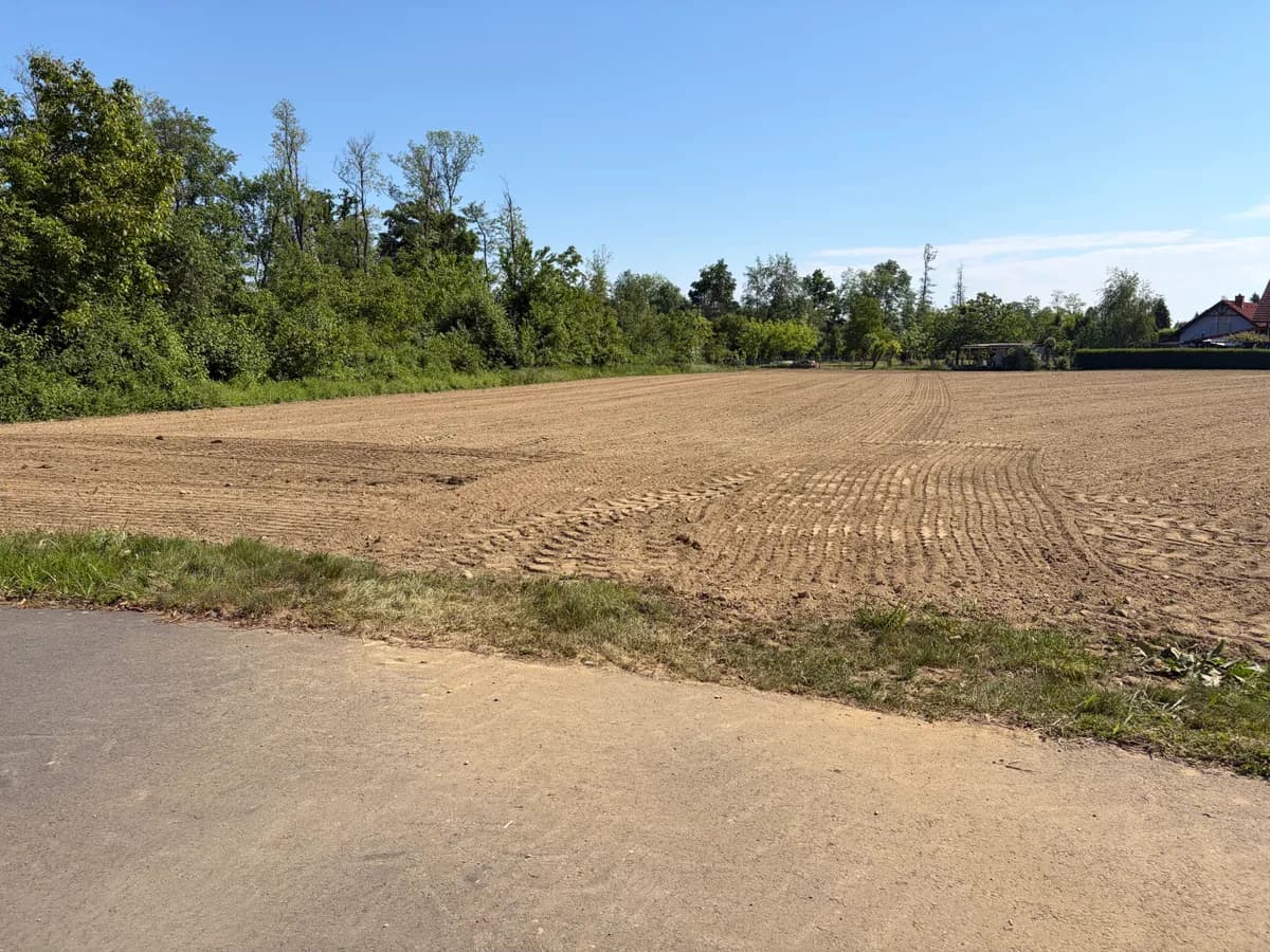 Immobilie kaufen in Südoststeiermark – 3 510 m², € 447.000 – Bild 7 von 9
