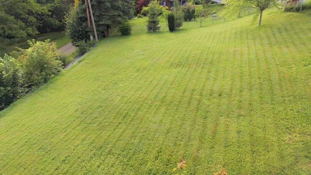 7-Zimmer-Haus kaufen in Südoststeiermark – 197,38 m², € 498.000 – Bild 11 von 47