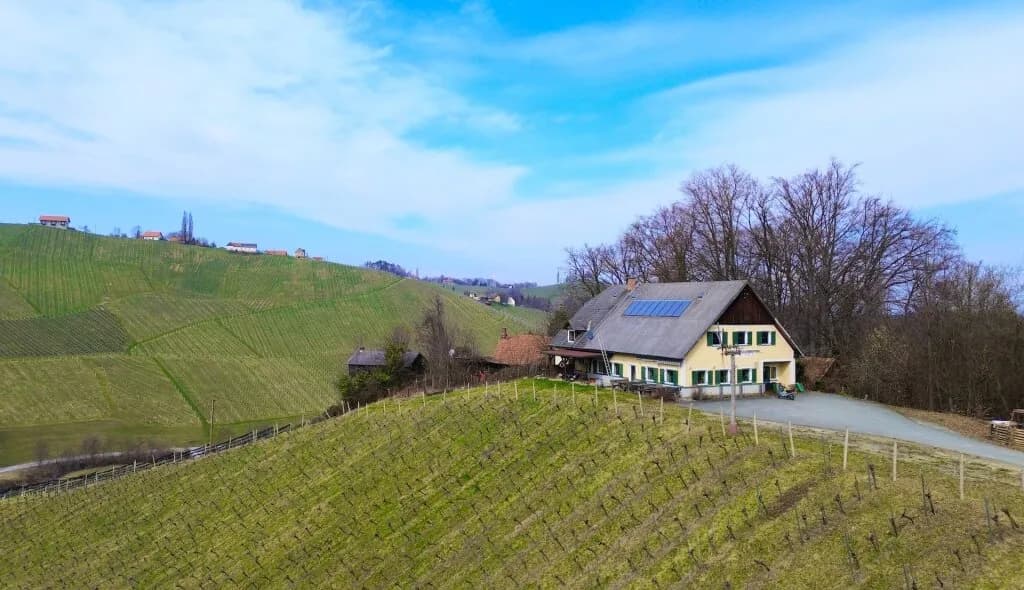 Haus kaufen in Leibnitz – 240 m², € 497.000 – Bild 2 von 11