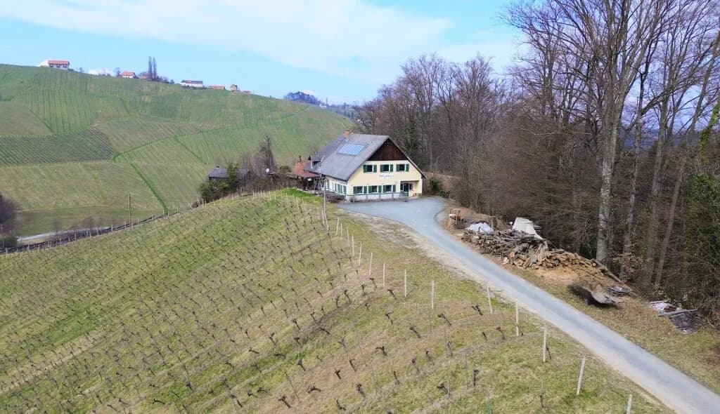 Haus kaufen in Leibnitz – 240 m², € 497.000 – Bild 3 von 11