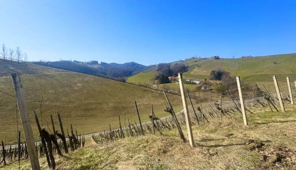 Haus kaufen in Leibnitz – 240 m², € 497.000 – Bild 4 von 11