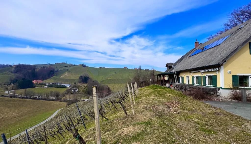 Haus kaufen in Leibnitz – 240 m², € 497.000 – Bild 6 von 11