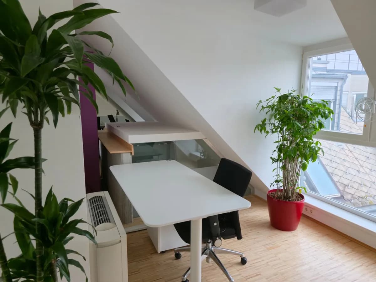 Gewerbeimmobilie mieten in Wien – Bild 2 von 7