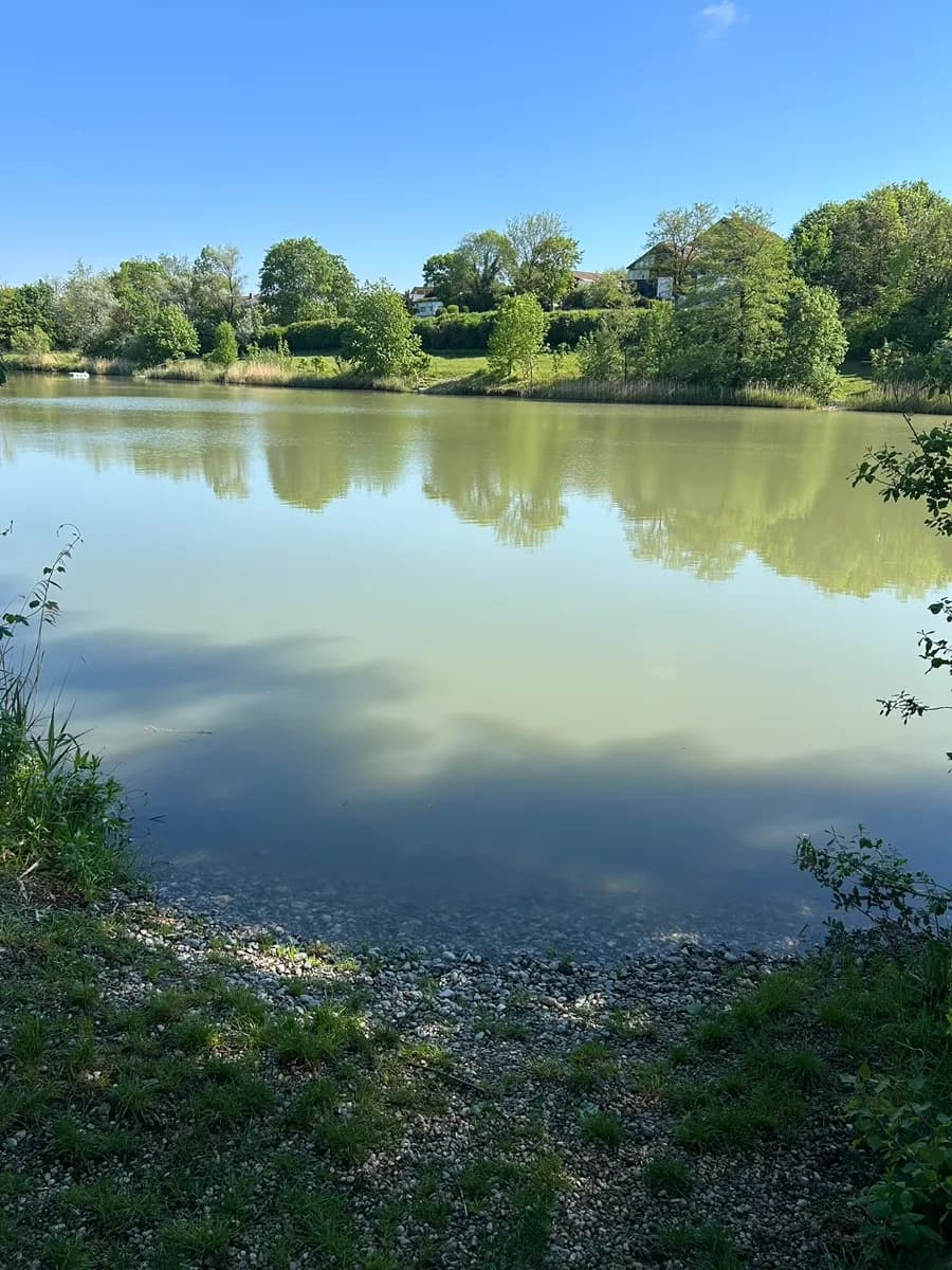 Immobilie mieten in Wiener Neustadt – 40 000 m², € 950 – Bild 2 von 4