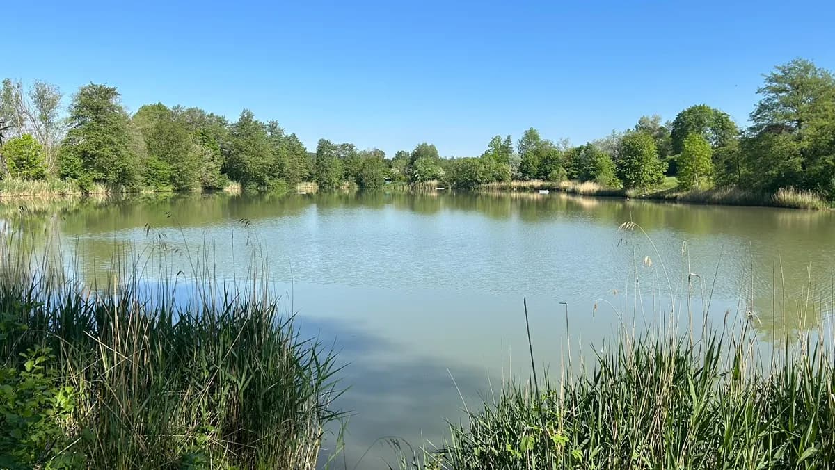 Immobilie mieten in Wiener Neustadt – 40 000 m², € 950 – Bild 3 von 4