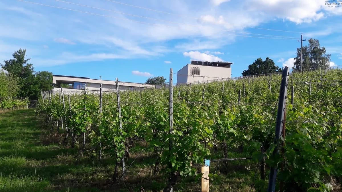 10-Zimmer-Grundstück kaufen in Jennersdorf – 570 m², € 2.670.000 – Bild 5 von 18