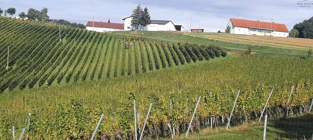 10-Zimmer-Grundstück kaufen in Jennersdorf – 570 m², € 2.670.000 – Bild 6 von 18
