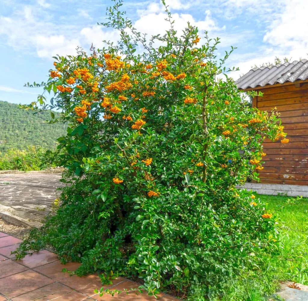4-Zimmer-Haus kaufen in Baden – 119 m², € 330.000 – Bild 10 von 23