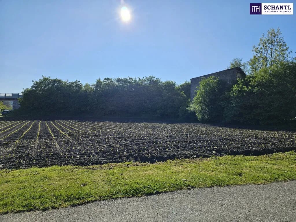 Grundstück kaufen in Deutschlandsberg – 1 473 m², € 589.000