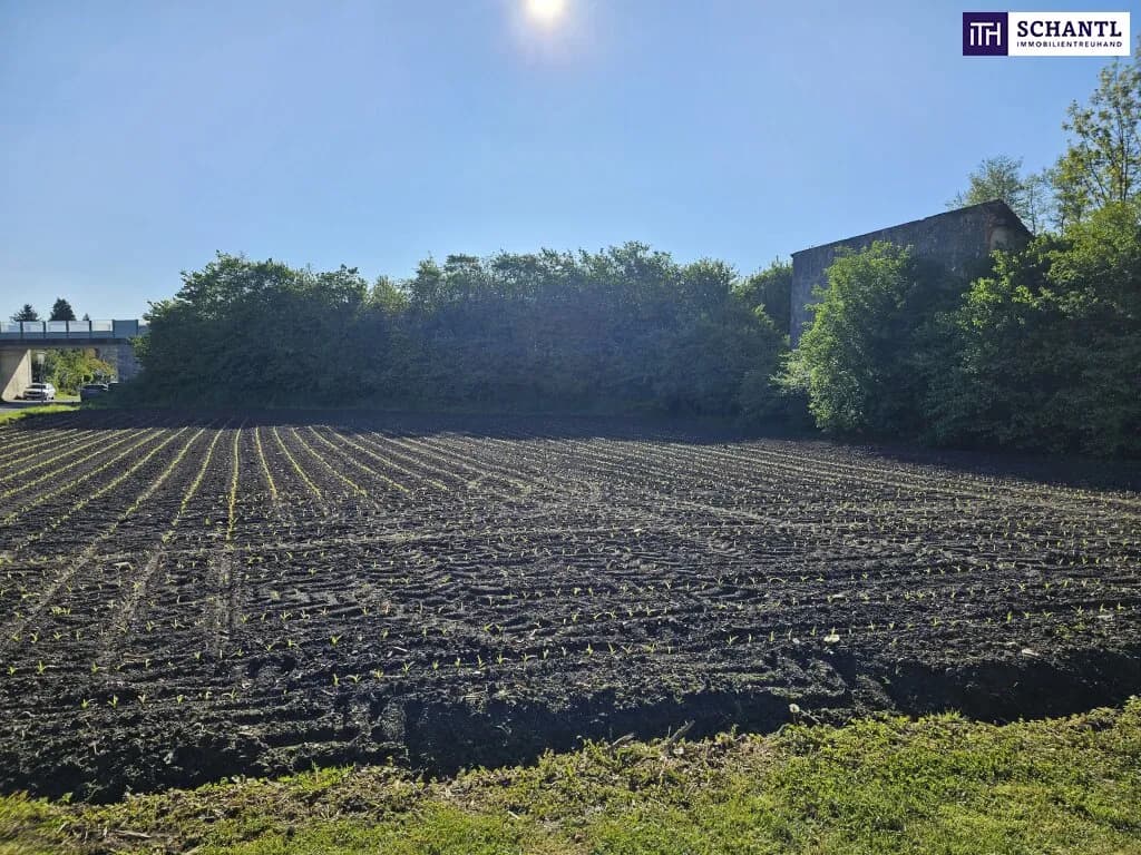 Grundstück kaufen in Deutschlandsberg – 1 473 m², € 589.000 – Bild 9 von 26