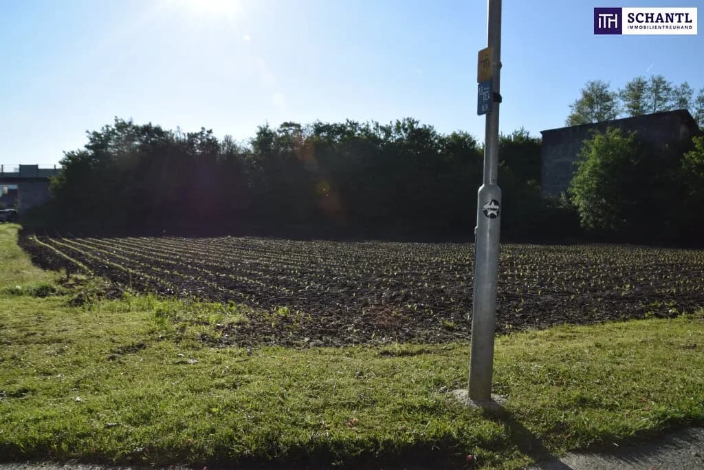 Grundstück kaufen in Deutschlandsberg – 1 473 m², € 589.000 – Bild 14 von 26