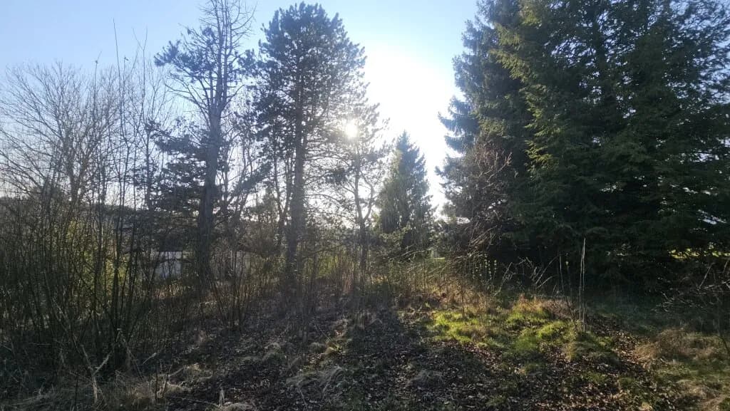 Immobilie kaufen in Graz-Umgebung – 1 309 m², € 349.900 – Bild 8 von 14