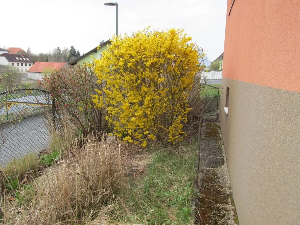 Haus kaufen in Waidhofen an der Thaya – 91 m², € 99.900 – Bild 8 von 38
