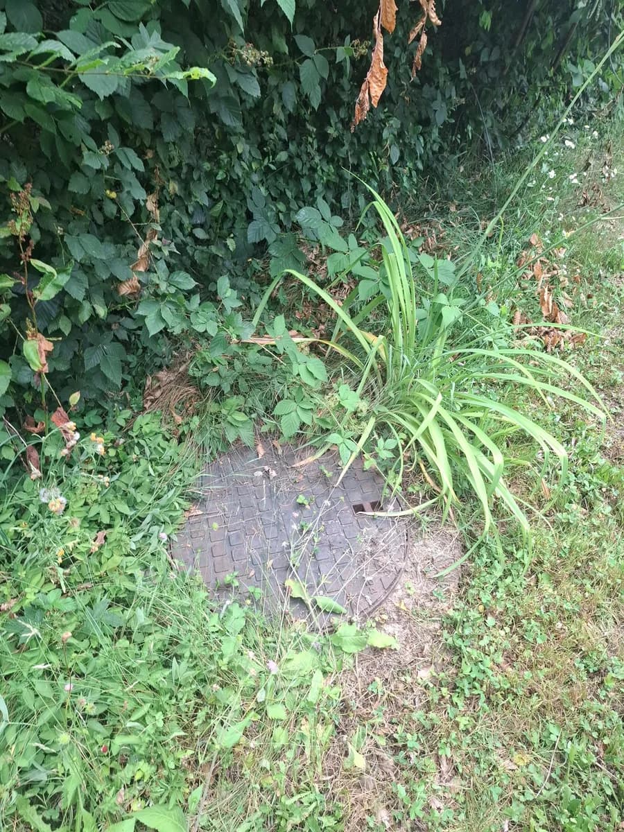 Grundstück kaufen in Graz-Umgebung – 1 000 m², € 140.000 – Bild 11 von 21