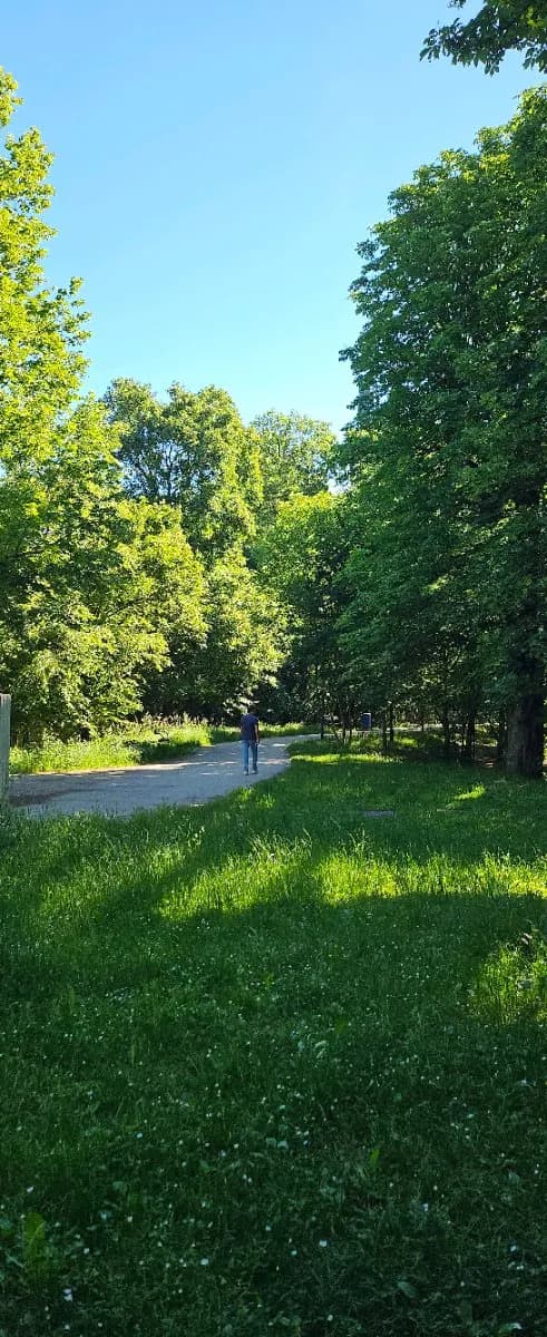 2-Zimmer-Wohnung mieten in Wien – 58 m², € 877 – Bild 7 von 9