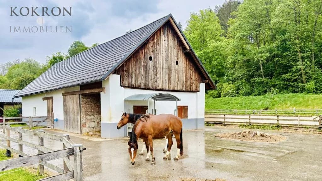 Wohnung kaufen in Völkermarkt – 449 m², € 1.320.000