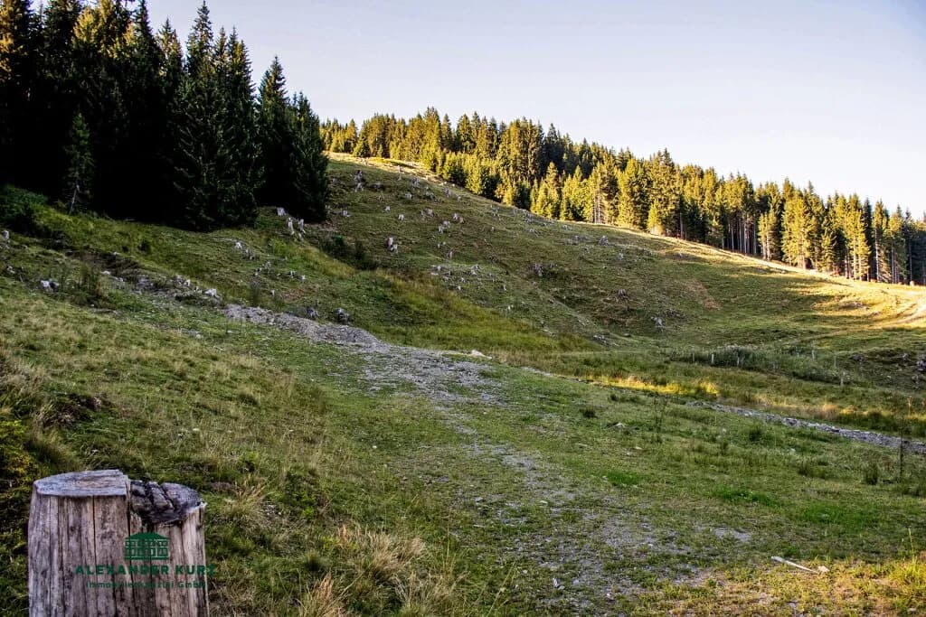 Immobilie kaufen in Zell am See – 75 m², € 1.500.000 – Bild 3 von 6