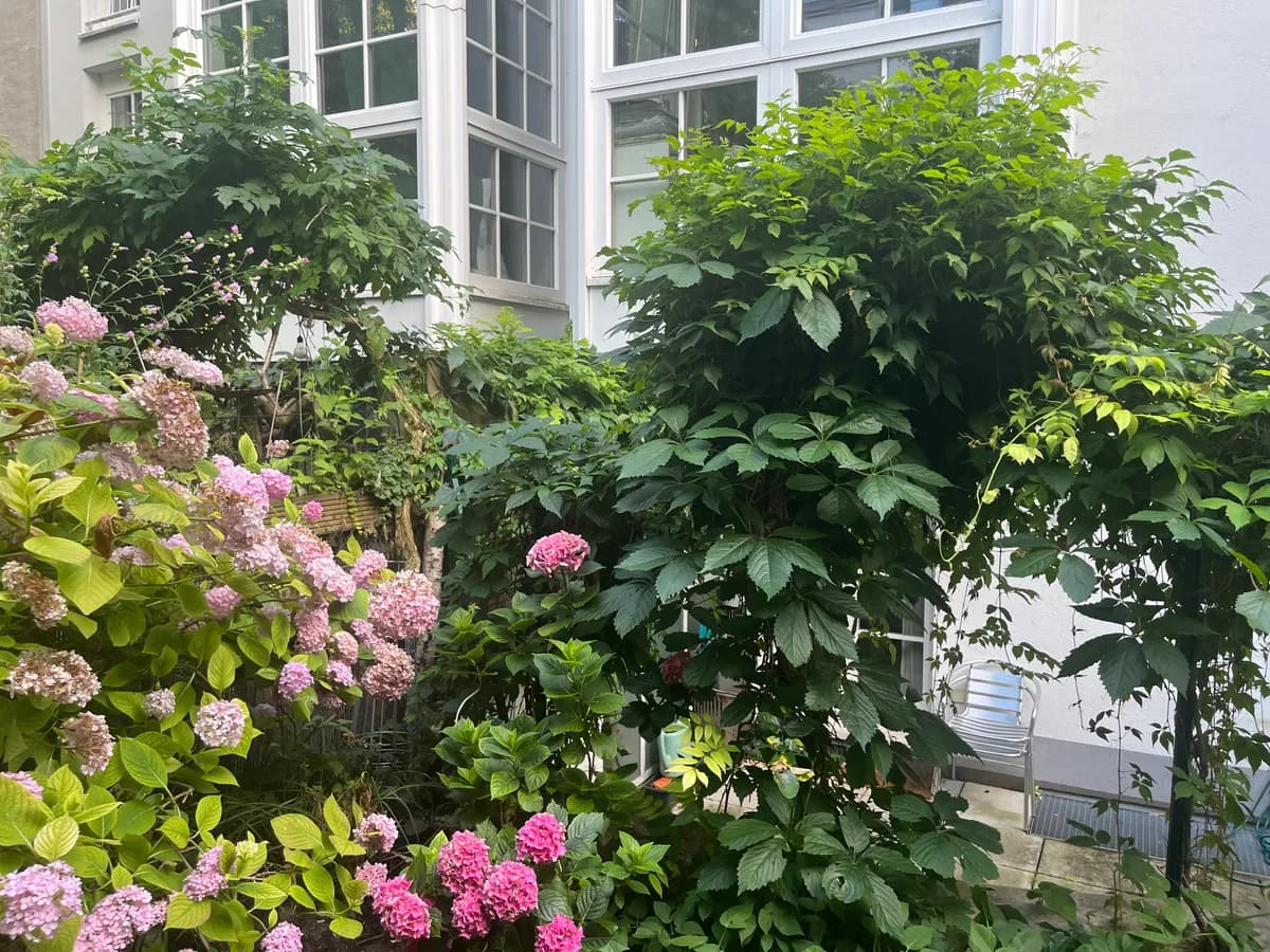 3-Zimmer-Wohnung mieten in Wien – 80 m², € 1.981