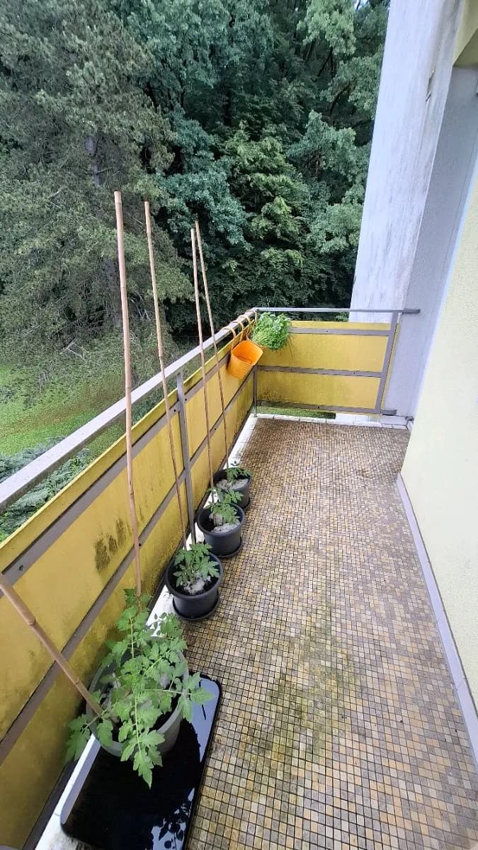6-Zimmer-Wohnung mieten in Graz – 15 m², € 418 – Bild 9 von 17