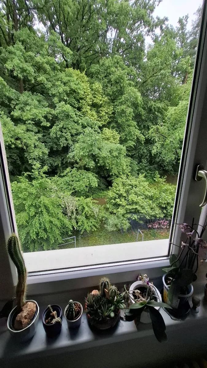 6-Zimmer-Wohnung mieten in Graz – 15 m², € 418 – Bild 14 von 17