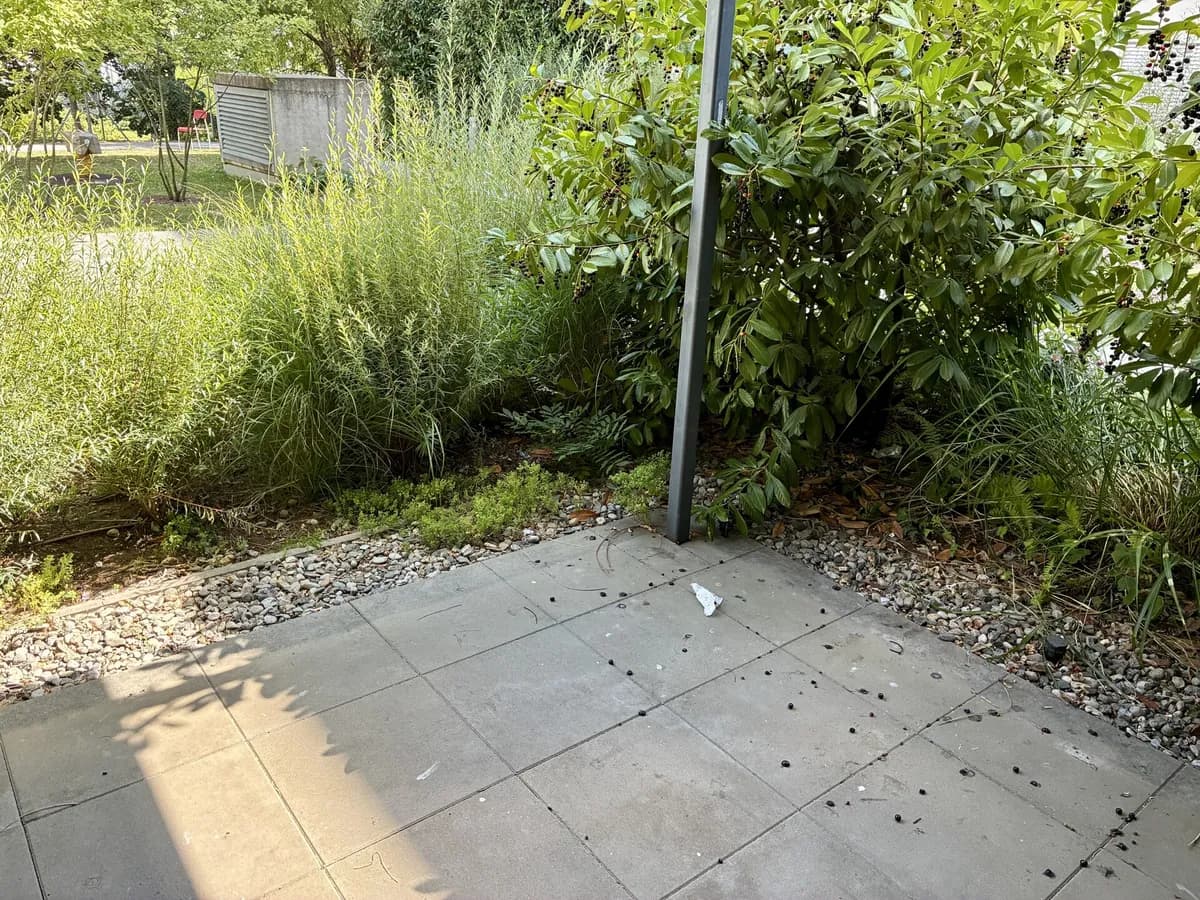 4-Zimmer-Wohnung mieten in Graz – 88,7 m², € 1.250 – Bild 7 von 13
