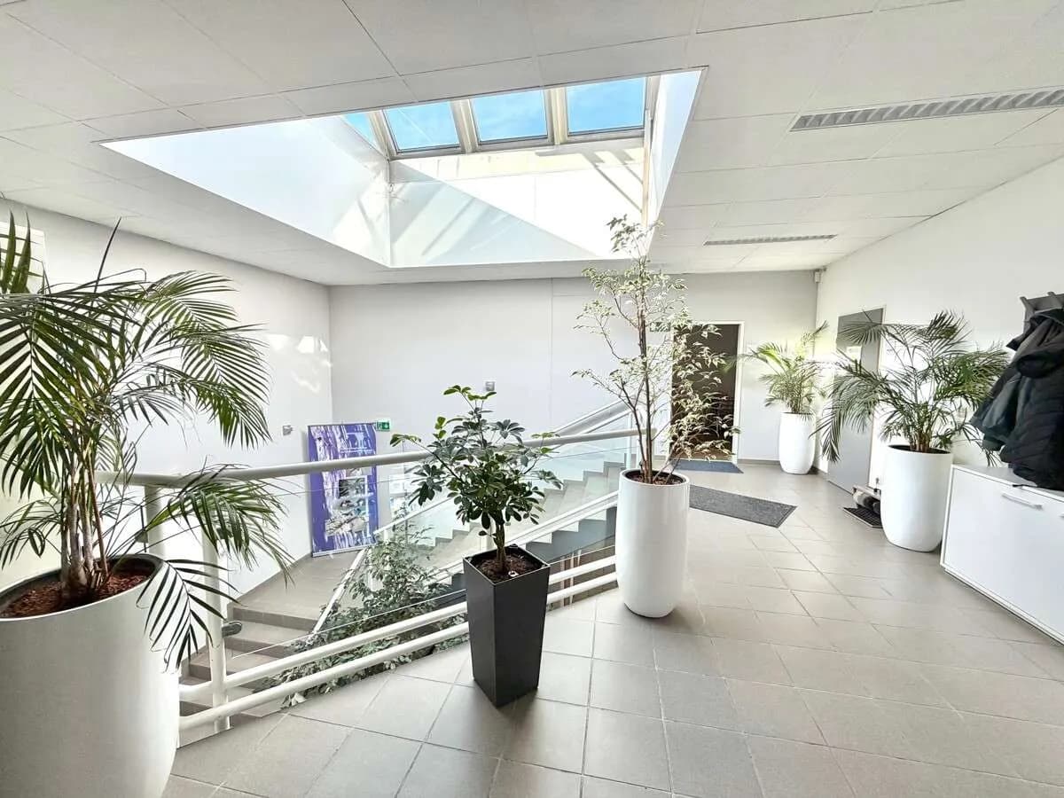 Gewerbeimmobilie mieten in Wien – 286 m², € 10 – Bild 8 von 15