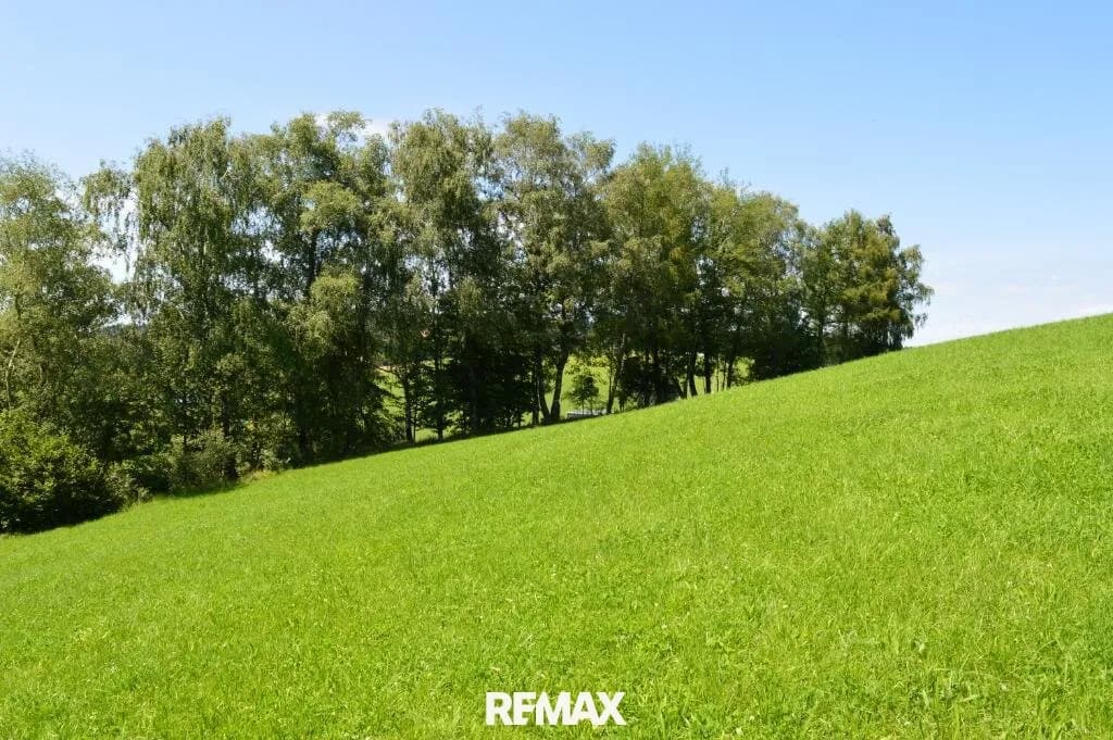 Grundstück kaufen in Rohrbach – 1 339 m², € 35.000 – Bild 3 von 3