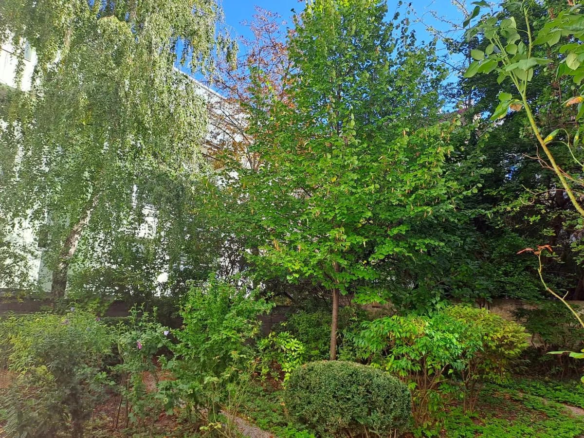 2-Zimmer-Wohnung mieten in Wien – 43 m², € 620 – Bild 14 von 16