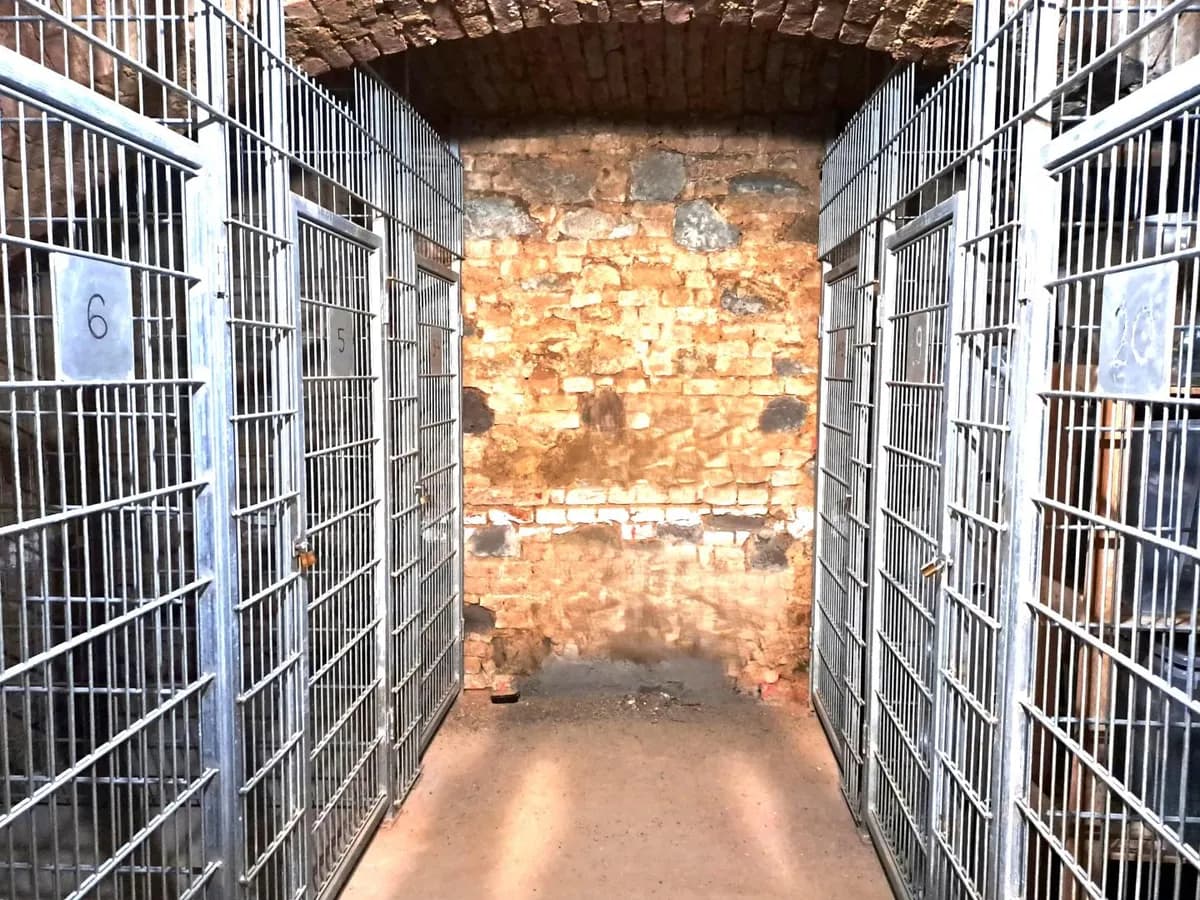 2-Zimmer-Wohnung mieten in Wien – 43 m², € 620 – Bild 16 von 16