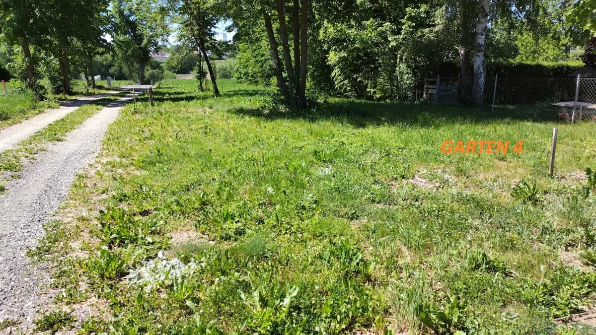 Immobilie mieten in Waidhofen an der Thaya – 191 m², € 178 – Bild 11 von 15