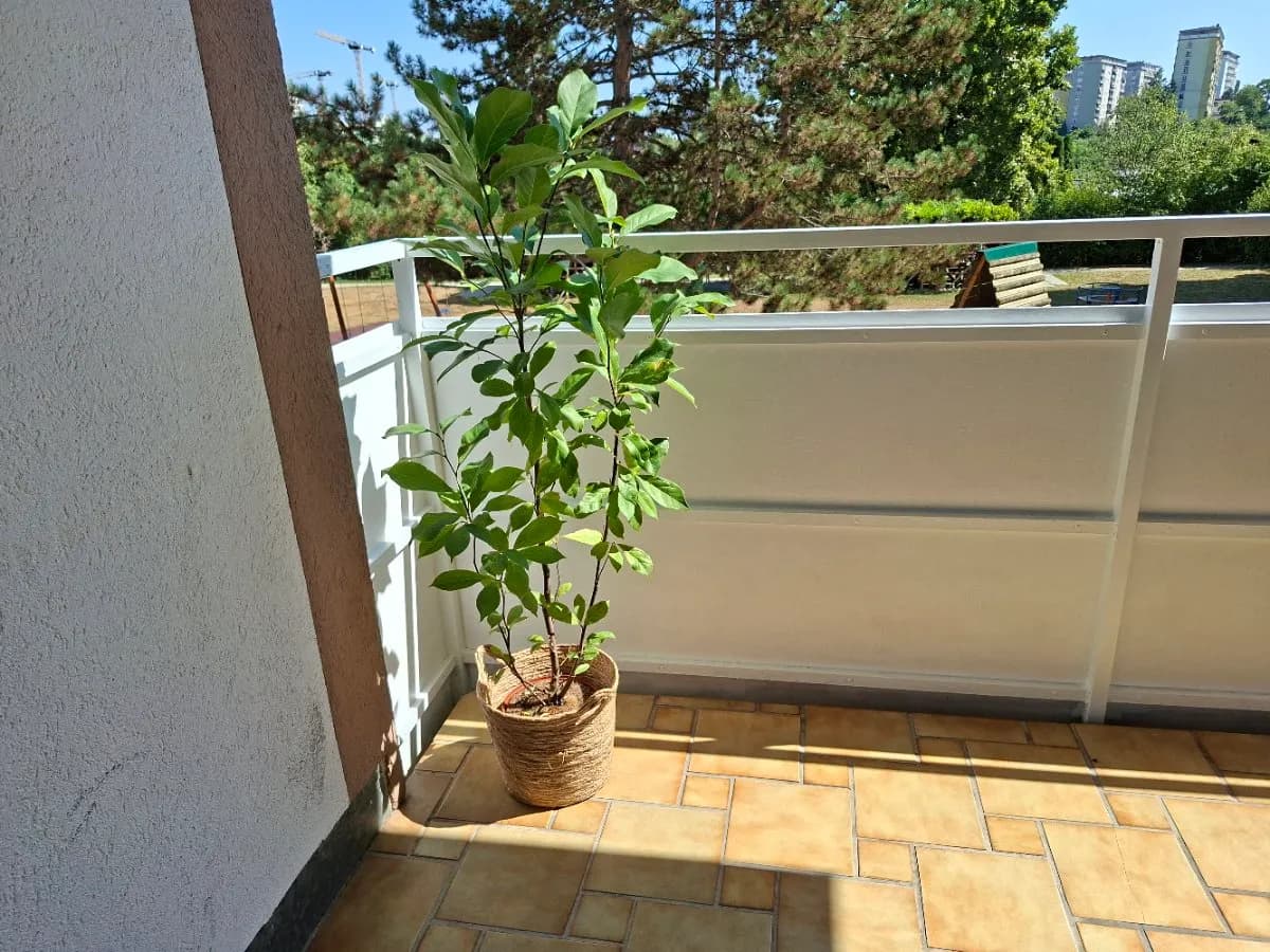 Wohnung kaufen in Graz – 45 m², € 159.000