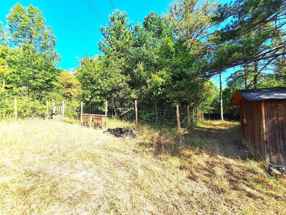 Grundstück mieten in Baden – 2 850 m², € 95 – Bild 3 von 4