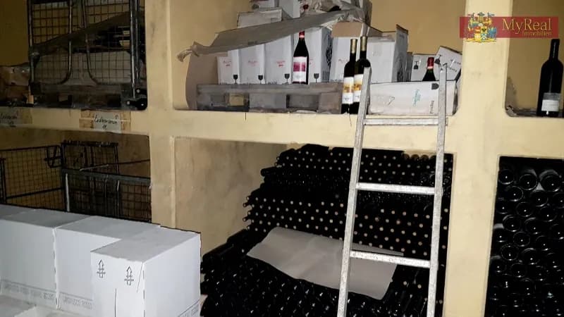 Grundstück kaufen in Eisenstadt – 15 000 m², € 3.200.000 – Bild 3 von 14