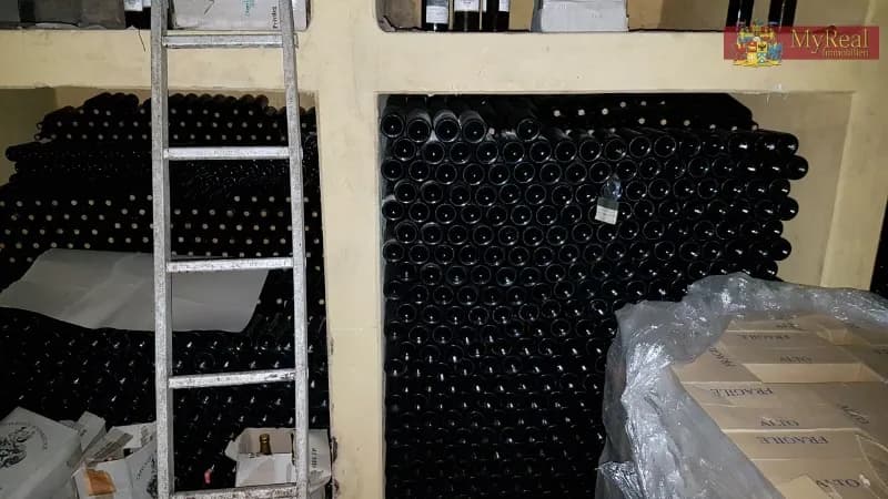 Grundstück kaufen in Eisenstadt – 15 000 m², € 3.200.000 – Bild 4 von 14