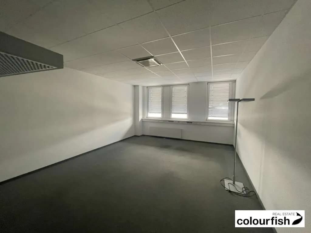 Gewerbeimmobilie mieten in Wien – 553 m², € 6.796 – Bild 6 von 7