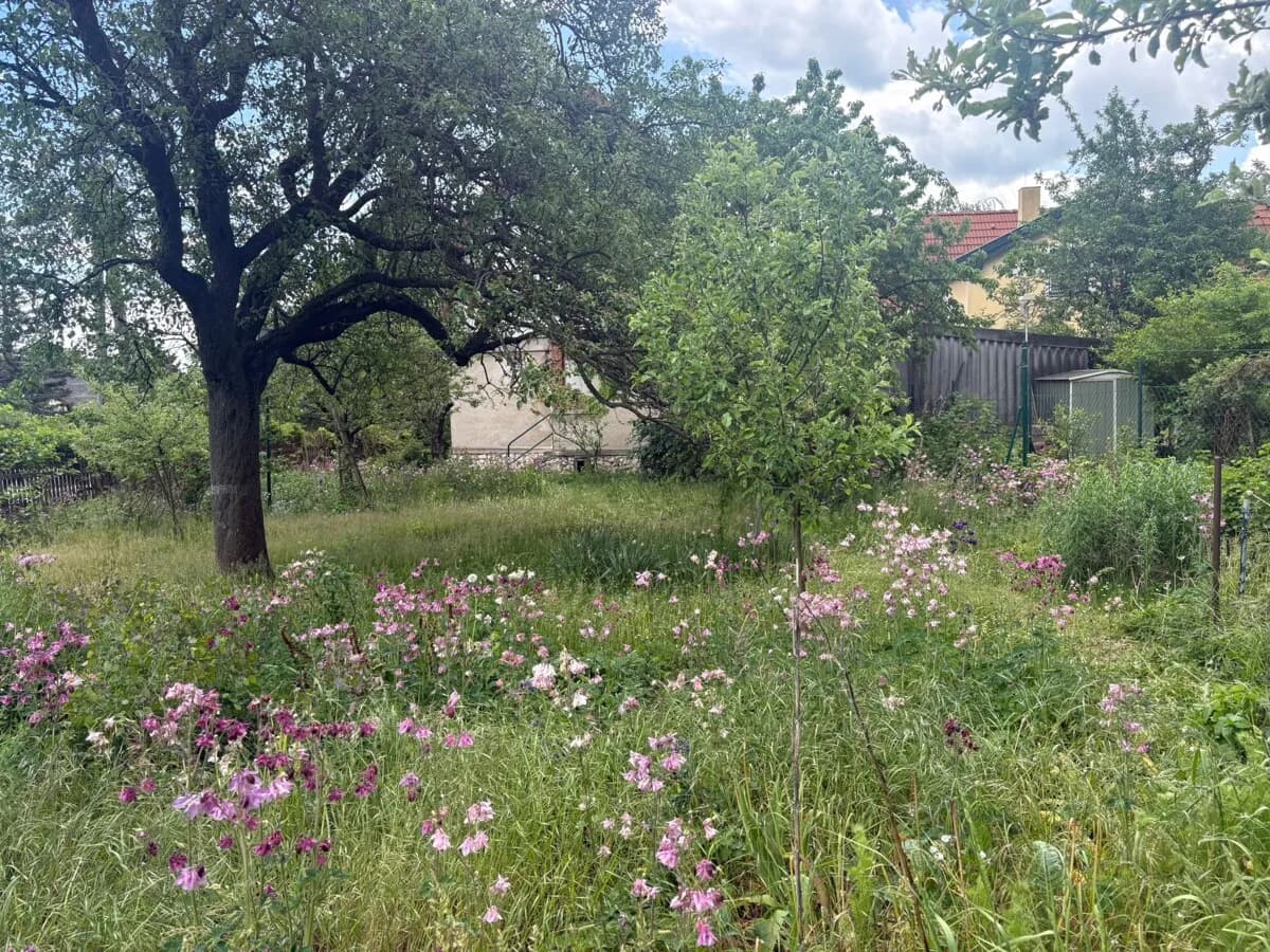 Grundstück kaufen in Mödling – 615 m², € 595.000 – Bild 4 von 8