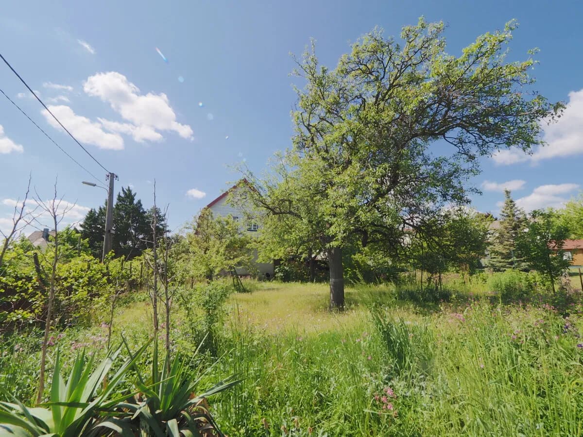 Grundstück kaufen in Mödling – 615 m², € 595.000 – Bild 6 von 8