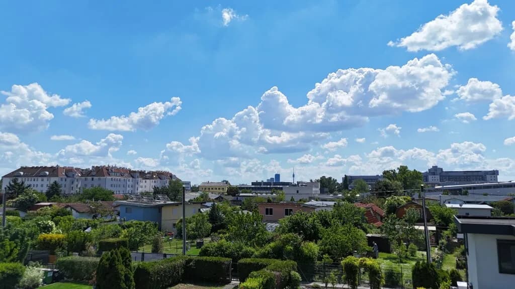 Wohnung kaufen in Wien – 33 m², € 355.000 – Bild 3 von 16