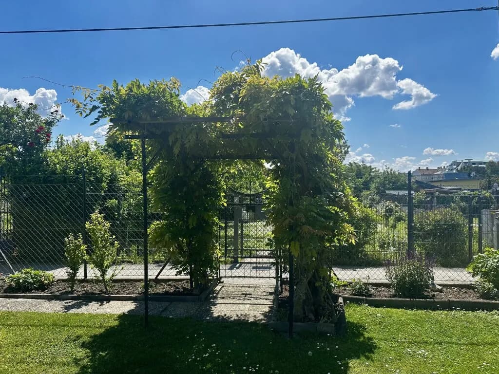 Wohnung kaufen in Wien – 33 m², € 355.000 – Bild 7 von 16