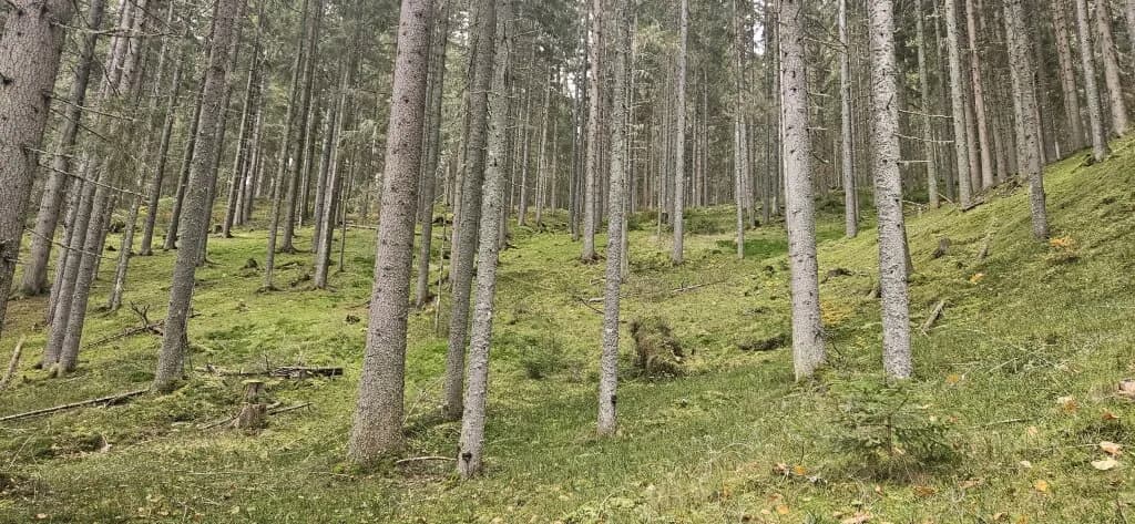 Grundstück kaufen in Villach Land – 152 m², € 890.000 – Bild 21 von 22