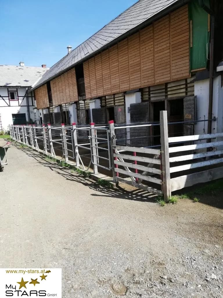 Immobilie mieten in Murtal – € 780 – Bild 4 von 15