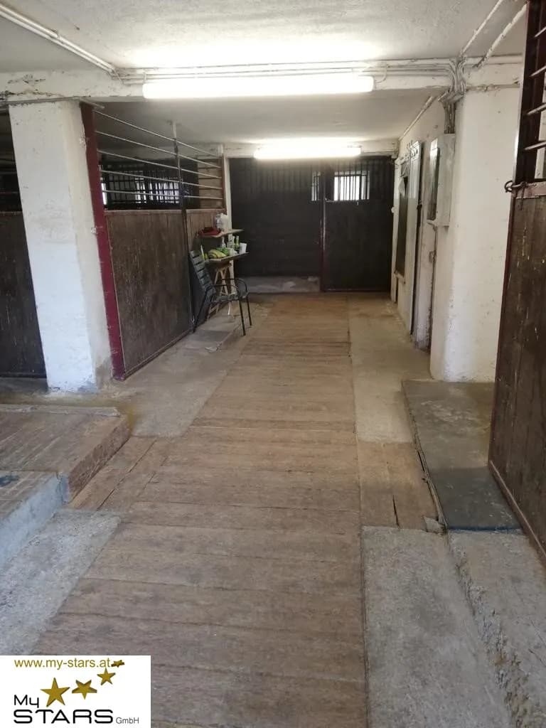 Immobilie mieten in Murtal – € 780 – Bild 14 von 15