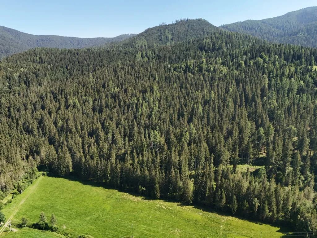 Immobilie kaufen in Villach Land – 152 m², € 890.000 – Bild 16 von 22