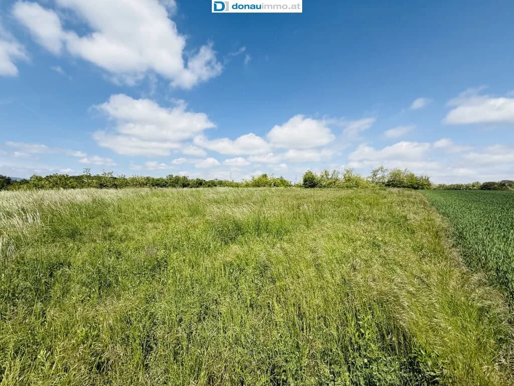 Grundstück kaufen in Hollabrunn – 4 723 m², € 149.000 – Bild 6 von 8