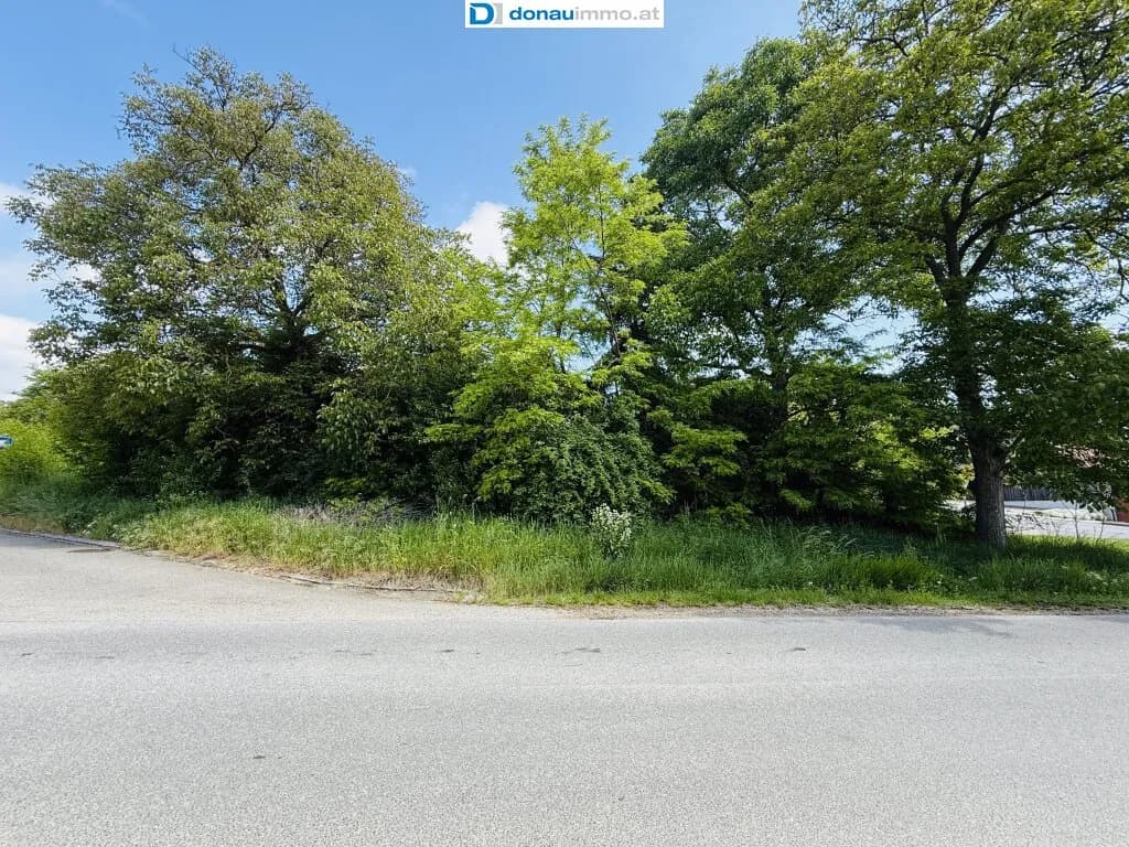 Grundstück kaufen in Hollabrunn – 4 723 m², € 149.000 – Bild 7 von 8