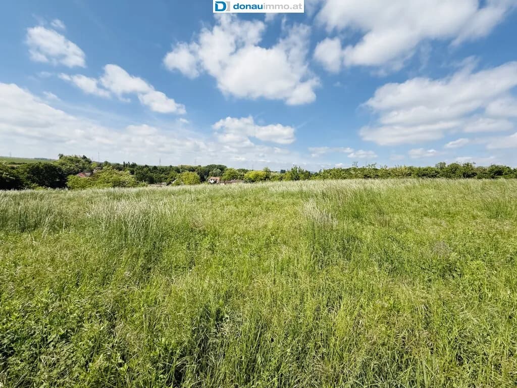 Grundstück kaufen in Hollabrunn – 4 723 m², € 149.000 – Bild 8 von 8