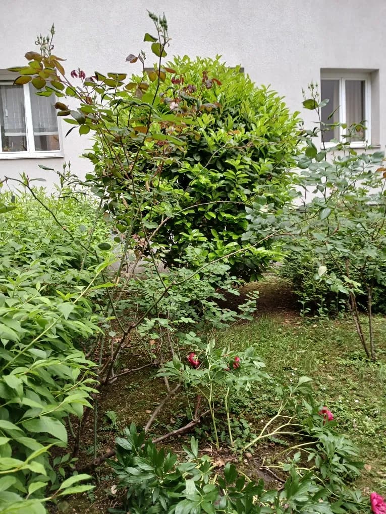 3-Zimmer-Wohnung kaufen in Wien – 67 m², € 327.000 – Bild 19 von 24